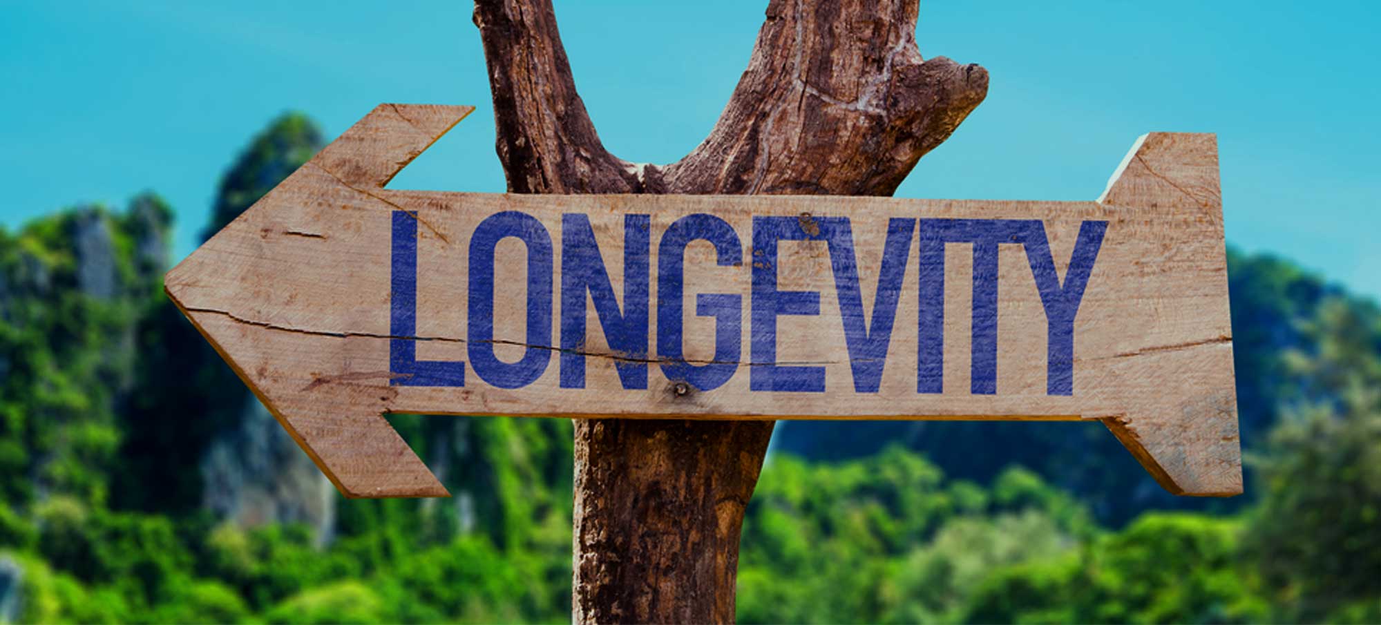 “Longevity Risk” in Retirement